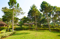 Lakeside Escape Resort